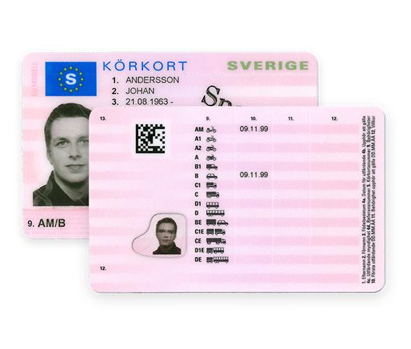 Swedish Driver License