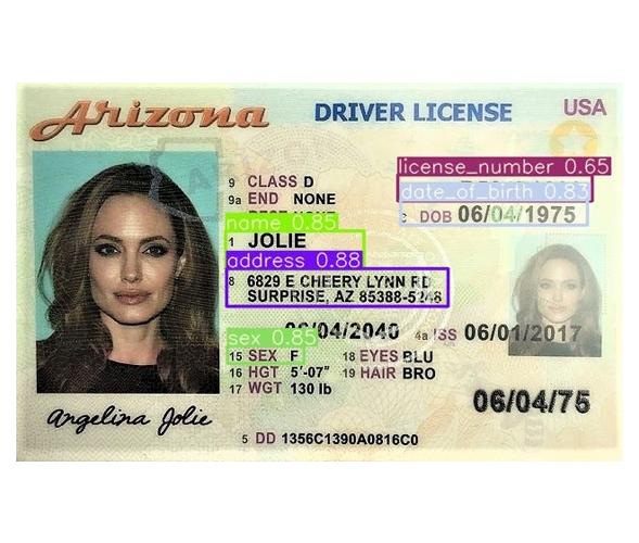 US Driver License